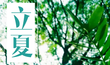 MRCAT猫先生_官方网站