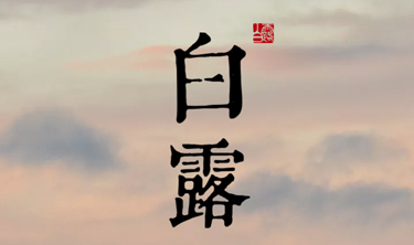 MRCAT猫先生_官方网站