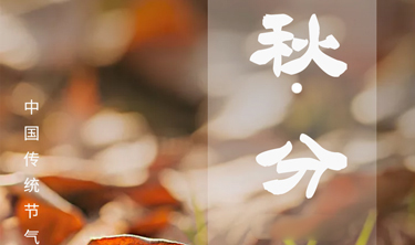 MRCAT猫先生_官方网站