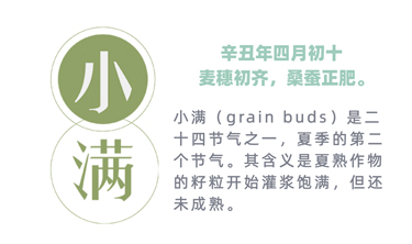 MRCAT猫先生_官方网站