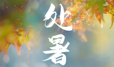 MRCAT猫先生_官方网站