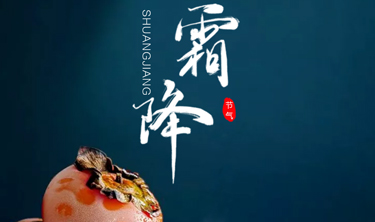 MRCAT猫先生_官方网站