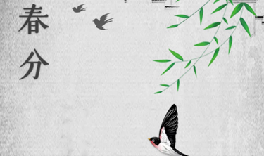 MRCAT猫先生_官方网站