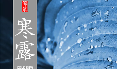 MRCAT猫先生_官方网站