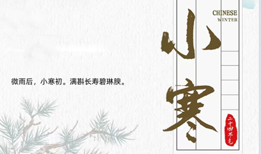 MRCAT猫先生_官方网站