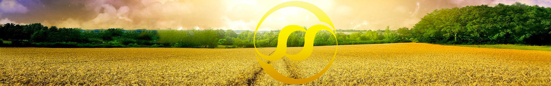 f6854f444f11f6ca3efc16cc7614de9b